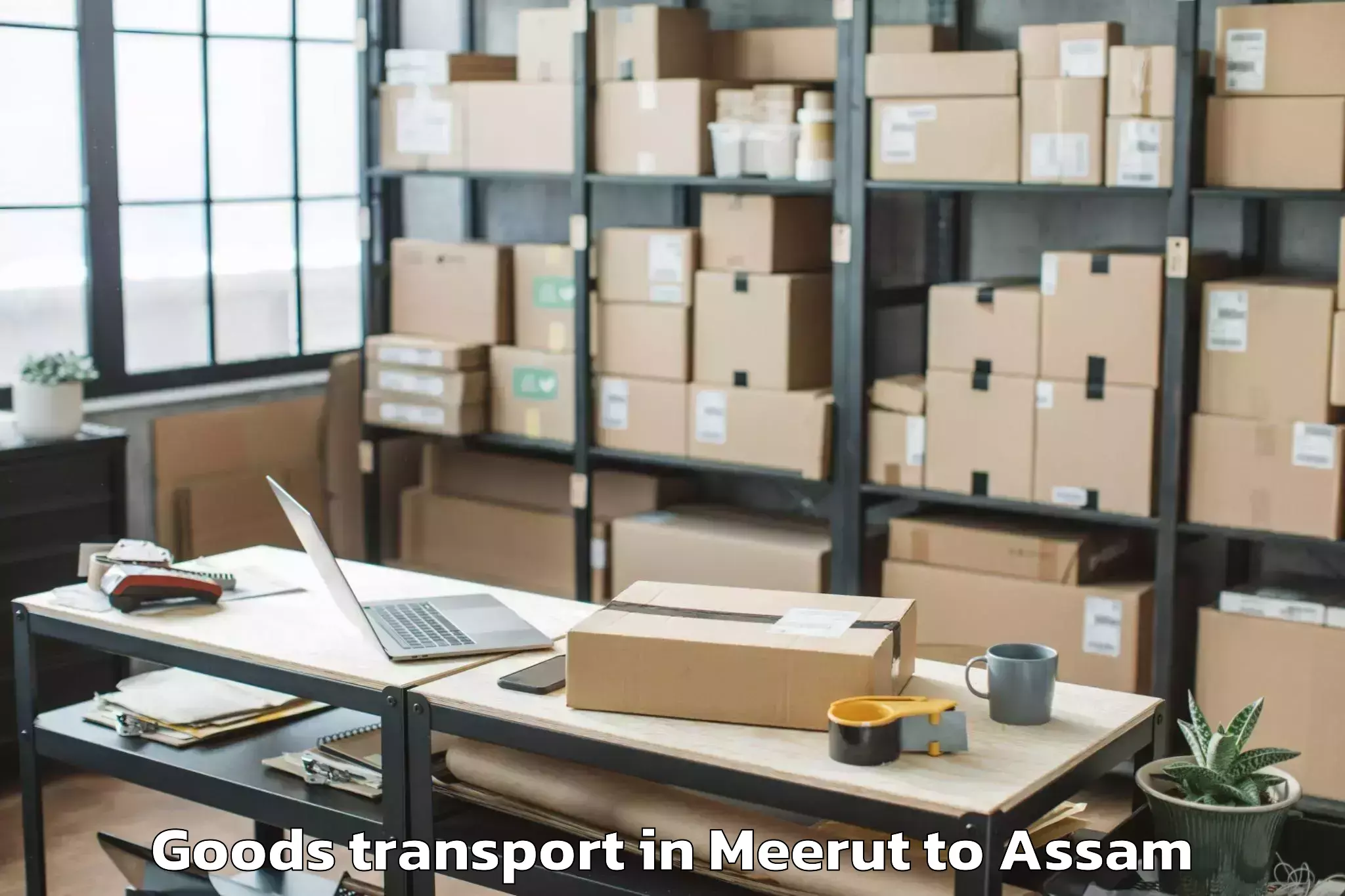 Meerut to Pandu Goods Transport Booking